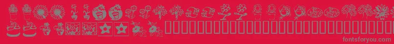 KrKatsFlowers3 Font – Gray Fonts on Red Background