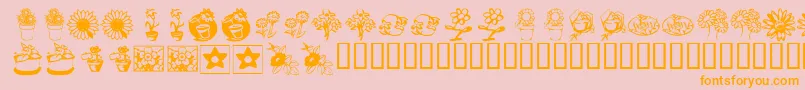 KrKatsFlowers3 Font – Orange Fonts on Pink Background