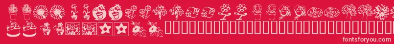 KrKatsFlowers3 Font – Pink Fonts on Red Background
