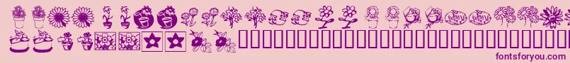 KrKatsFlowers3 Font – Purple Fonts on Pink Background