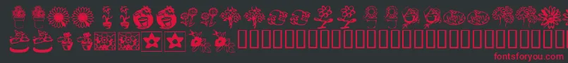 KrKatsFlowers3 Font – Red Fonts on Black Background