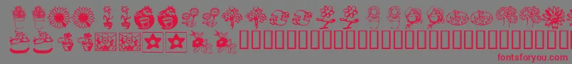 KrKatsFlowers3 Font – Red Fonts on Gray Background