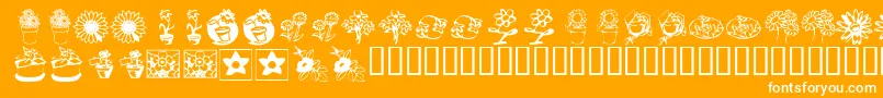 KrKatsFlowers3 Font – White Fonts on Orange Background