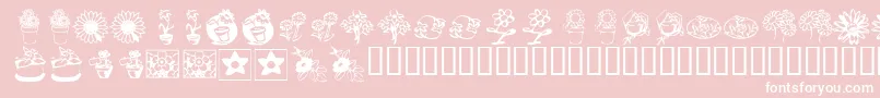 KrKatsFlowers3 Font – White Fonts on Pink Background