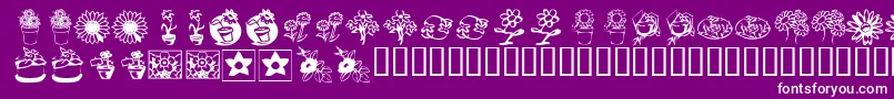 KrKatsFlowers3 Font – White Fonts on Purple Background