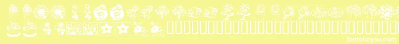 KrKatsFlowers3 Font – White Fonts on Yellow Background