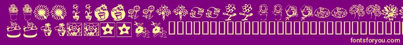 KrKatsFlowers3 Font – Yellow Fonts on Purple Background
