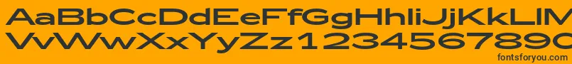 Zeppelin53 Font – Black Fonts on Orange Background