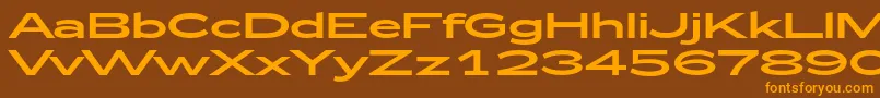 Zeppelin53 Font – Orange Fonts on Brown Background