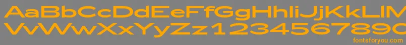 Zeppelin53 Font – Orange Fonts on Gray Background