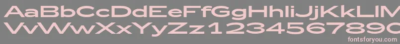Zeppelin53-Schriftart – Rosa Schriften auf grauem Hintergrund