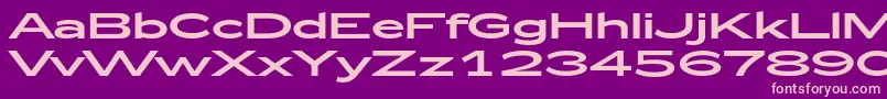 Zeppelin53 Font – Pink Fonts on Purple Background