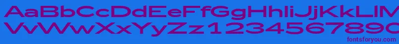 Zeppelin53 Font – Purple Fonts on Blue Background