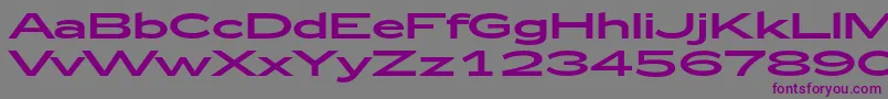 Zeppelin53 Font – Purple Fonts on Gray Background