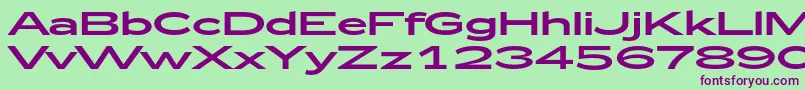 Zeppelin53 Font – Purple Fonts on Green Background
