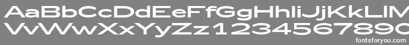 Zeppelin53 Font – White Fonts on Gray Background