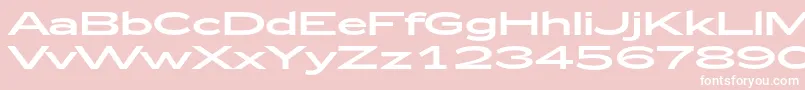 Zeppelin53 Font – White Fonts on Pink Background