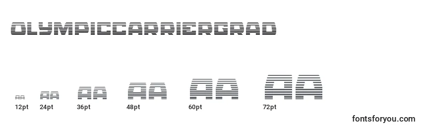Размеры шрифта Olympiccarriergrad