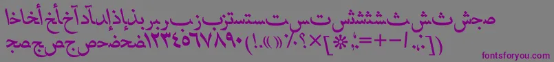 HafizarabicttItalic Font – Purple Fonts on Gray Background