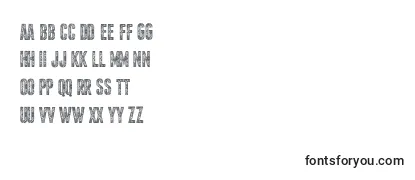 Обзор шрифта Cortina