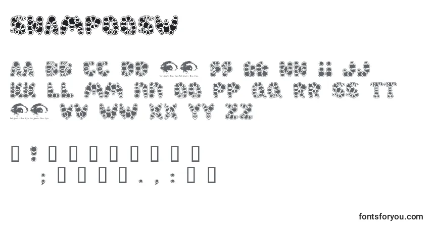 A fonte Shampoosw – alfabeto, números, caracteres especiais