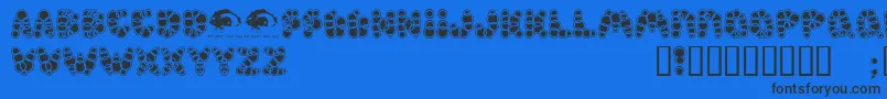 Shampoosw-Schriftart – Schwarze Schriften auf blauem Hintergrund