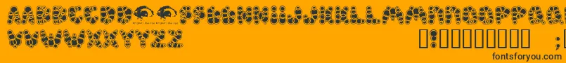 Shampoosw Font – Black Fonts on Orange Background