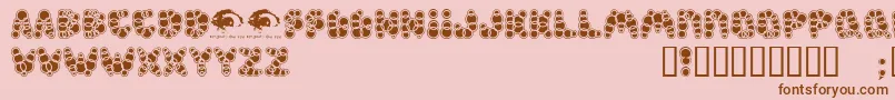 Shampoosw Font – Brown Fonts on Pink Background