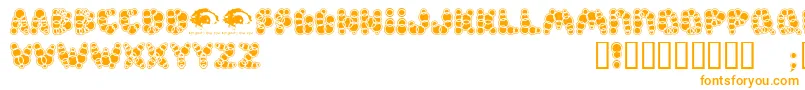 Shampoosw Font – Orange Fonts on White Background