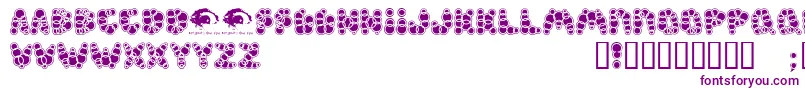 Shampoosw Font – Purple Fonts on White Background