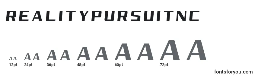 RealityPursuitNc Font Sizes