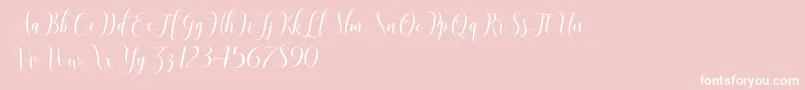 SadhiraScriptDemo-Schriftart – Weiße Schriften auf rosa Hintergrund