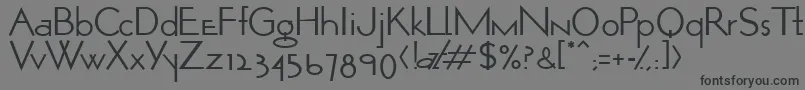 OpticonOne1-Schriftart – Schwarze Schriften auf grauem Hintergrund