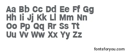 HelveticaHeadlines フォントのレビュー