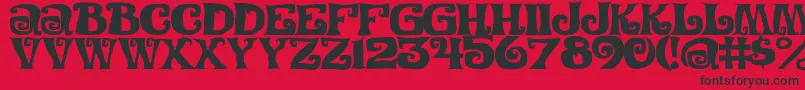 Festivalnightsc Font – Black Fonts on Red Background