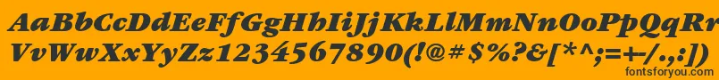 ItcGaramondLtUltraItalic Font – Black Fonts on Orange Background