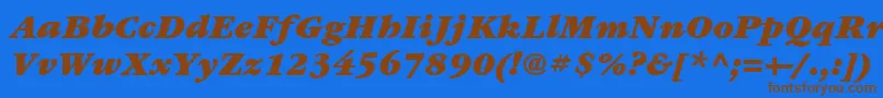 ItcGaramondLtUltraItalic Font – Brown Fonts on Blue Background