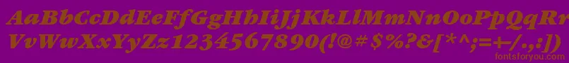 ItcGaramondLtUltraItalic Font – Brown Fonts on Purple Background