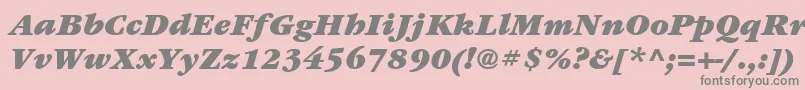 ItcGaramondLtUltraItalic Font – Gray Fonts on Pink Background