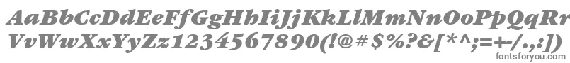 フォントItcGaramondLtUltraItalic – 白い背景に灰色の文字