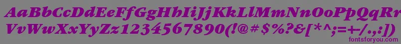 Police ItcGaramondLtUltraItalic – polices violettes sur fond gris