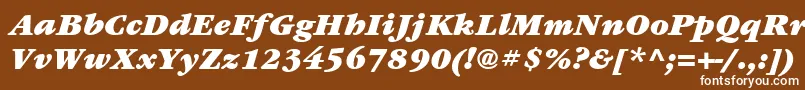 ItcGaramondLtUltraItalic-Schriftart – Weiße Schriften auf braunem Hintergrund