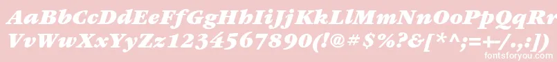 ItcGaramondLtUltraItalic Font – White Fonts on Pink Background
