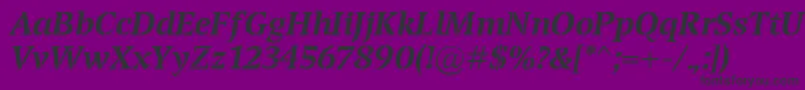 TransportBolditalic Font – Black Fonts on Purple Background