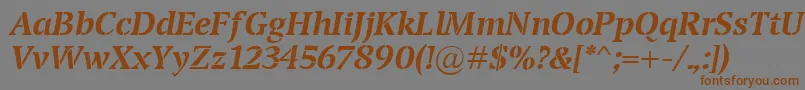 TransportBolditalic Font – Brown Fonts on Gray Background