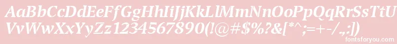 TransportBolditalic Font – White Fonts on Pink Background