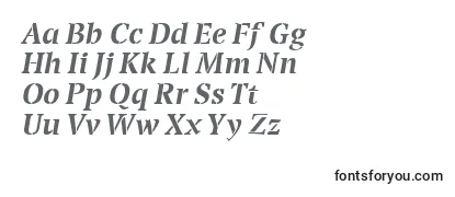 Review of the TransportBolditalic Font