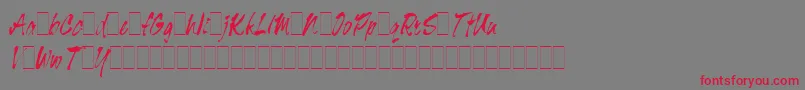フォントTigerRagAltsLetPlain.1.0 – 赤い文字の灰色の背景