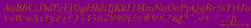 Police PurloinBoldItalic – polices brunes sur fond violet