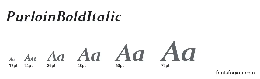 Размеры шрифта PurloinBoldItalic